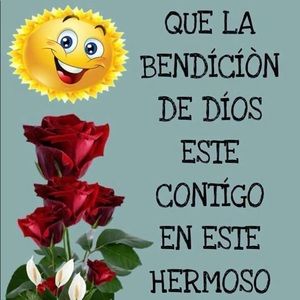 Meet your Posher, Deisy